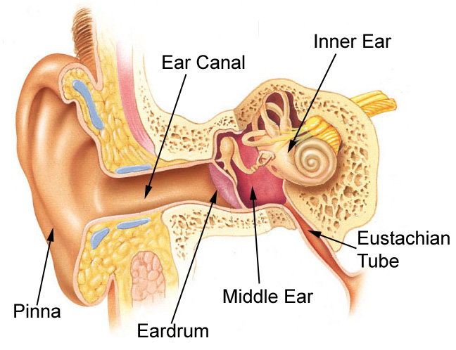 Dizziness Treatment in Toronto, Yonge and St Clair